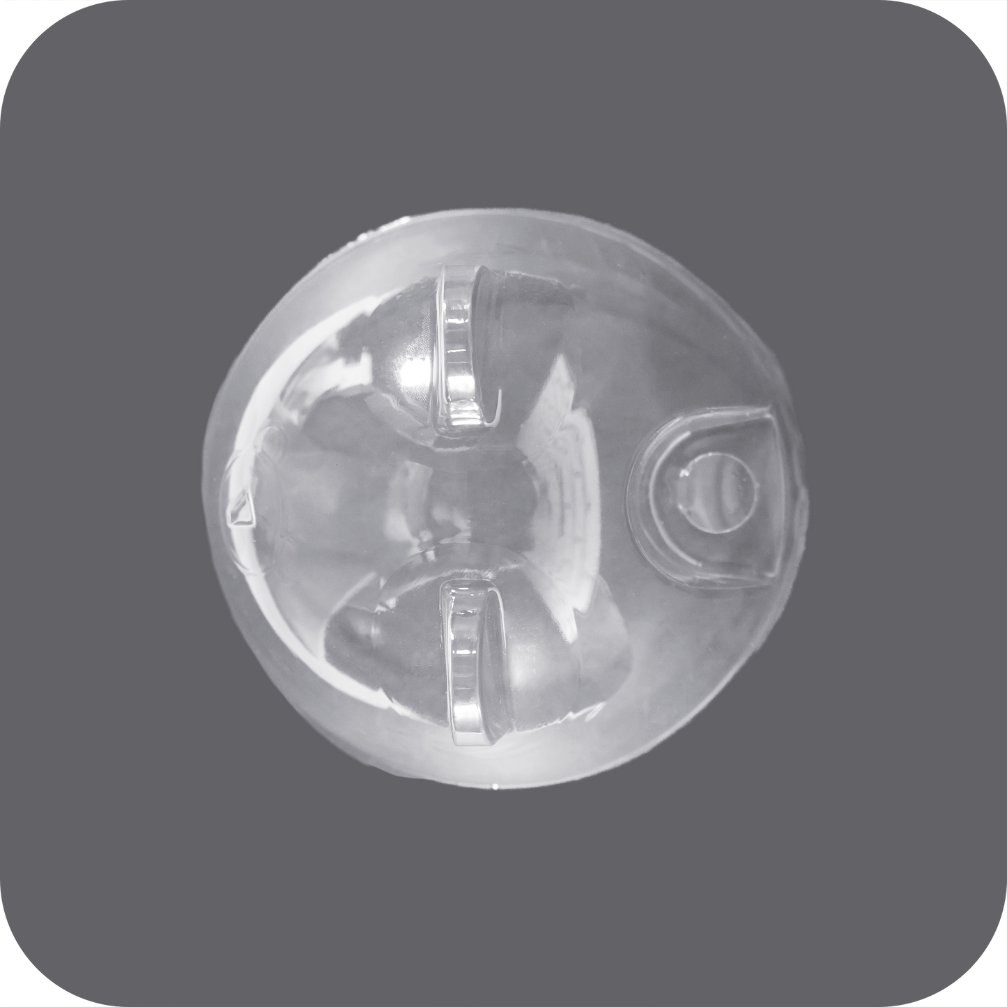 Tapa Oso 95 mm - 50 pz